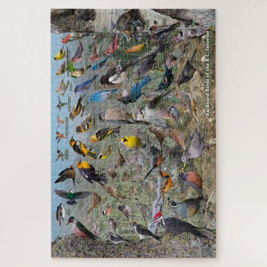 Achterwerende vogels van de BC Interior Legpuzzel (Verticaal)