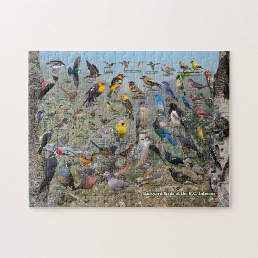 Achterwerende vogels van de BC Interior Legpuzzel (Horizontaal)
