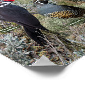 Achterwerende vogels van de BC Interior Poster (Hoek)