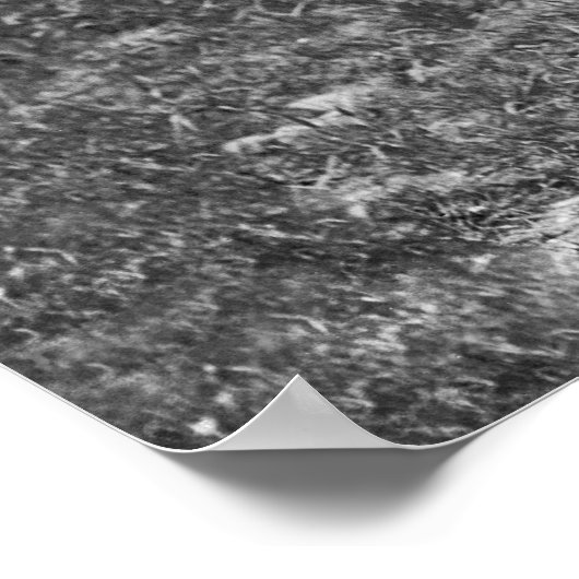 Achterwerf: 1912 poster (Hoek)