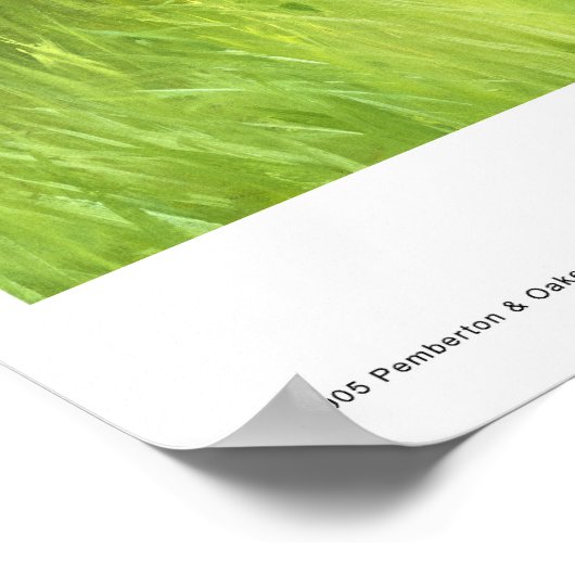 Achterwerfboeddies Poster (Hoek)