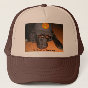 Achterzijde dit halloween Pet