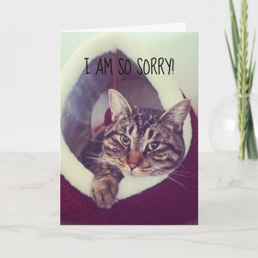 Achterzijde Kat Placeholder Kaart (Voorkant)