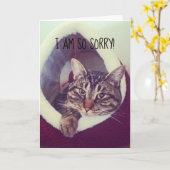 Achterzijde Kat Placeholder Kaart (Gele Bloem)