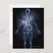 Achterzijde uitzicht van een menselijk skelet briefkaart (Voorkant / Achterkant)