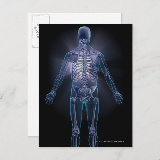 Achterzijde uitzicht van een menselijk skelet briefkaart (Voorkant / Achterkant)