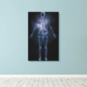 Achterzijde uitzicht van een menselijk skelet canvas afdruk (Insitu (Houten vloer))