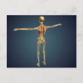 Achterzijde Uitzicht van het skelet van de mens me Briefkaart (Voorkant)