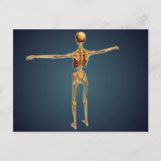 Achterzijde Uitzicht van het skelet van de mens me Briefkaart (Voorkant)