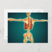Achterzijde Uitzicht van het skelet van de mens me Briefkaart (Voorkant / Achterkant)