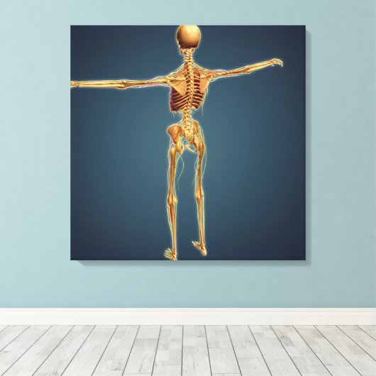 Achterzijde Uitzicht van het skelet van de mens me Canvas Afdruk (Insitu (Houten vloer))