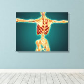 Achterzijde Uitzicht van het skelet van de mens me Canvas Afdruk (Insitu (Houten vloer))