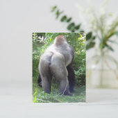 Achterzijde van Gorilla Briefkaart (Staand voorkant)