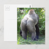 Achterzijde van Gorilla Briefkaart (Voorkant / Achterkant)