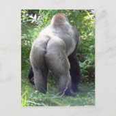 Achterzijde van Gorilla Briefkaart (Voorkant)