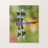 Achtgepootte Skimmer Dragonfly Legpuzzel (Verticaal)