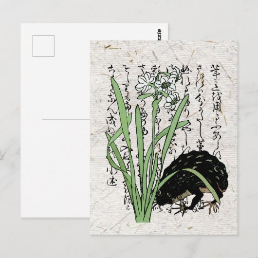 Achttiende eeuw Japanse Botanische Kikker Toad Briefkaart (Voorkant / Achterkant)
