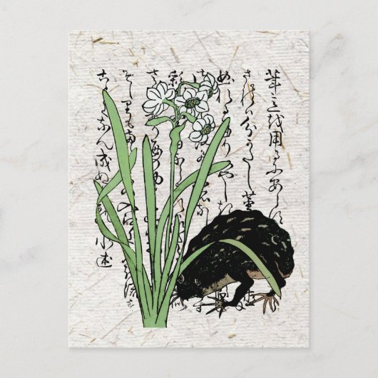 Achttiende eeuw Japanse Botanische Kikker Toad Briefkaart (Voorkant)