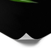 Acid Green Biohazard 08 Poster (Hoek)