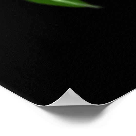 Acid Green Biohazard 08 Poster (Hoek)