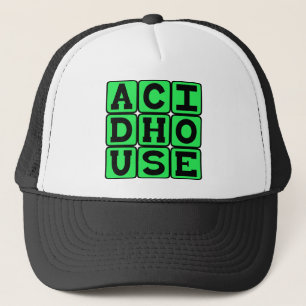 Acid House, Muziekgestijl Trucker Pet