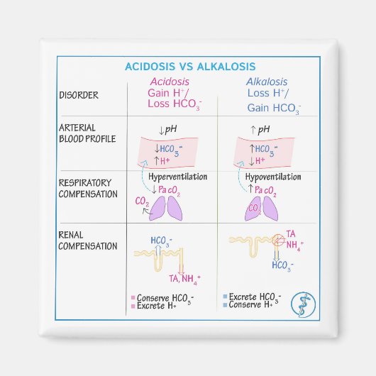 Acidose vs. alkalosis Magnet (niet flexibel) (Voorkant)