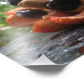 Ackee Family Foto Afdruk (Hoek)