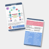 ACLS-algoritme door Nurse Cheats® Badge (Voor- en achterkant)