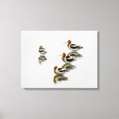 Acocets Canvas Afdruk (Voorkant)