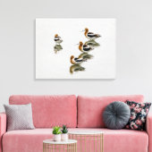 Acocets Canvas Afdruk (Insitu (Woonkamer))