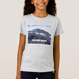 Aconcagua Mountain, omdat het daar is T-shirt