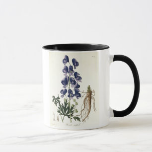 Aconitum Napellus uit 'Phytographie Medicale' door Mok