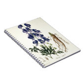 Aconitum Napellus uit 'Phytographie Medicale' door Notitieboek (Rechterzijde)