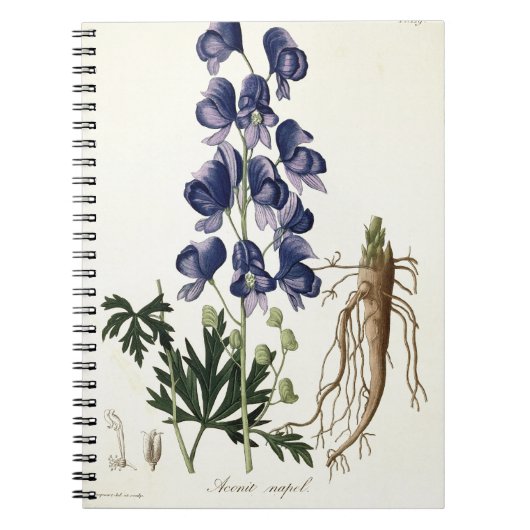 Aconitum Napellus uit 'Phytographie Medicale' door Notitieboek (Voorkant)