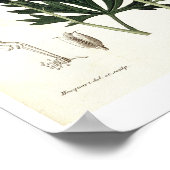 Aconitum Napellus uit 'Phytographie Medicale' door Poster (Hoek)