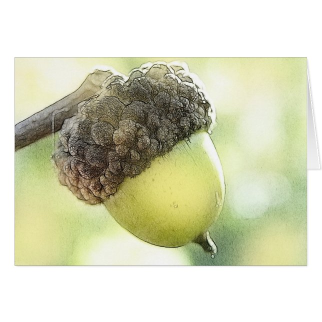 Acorn (Voorkant Horizontaal)