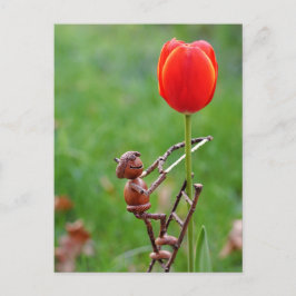 Acorn elf als tulip gardener spring briefkaart