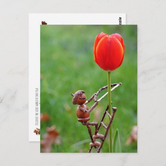 Acorn elf als tulip gardener spring briefkaart (Voorkant / Achterkant)