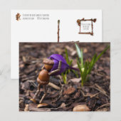 Acorn elf die de lentesbloem controleert briefkaart (Voorkant / Achterkant)