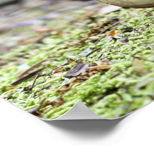 Acorn elf fietst op het kantoor poster (Hoek)