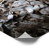 Acorn elf fietst zonder poster te houden (Hoek)