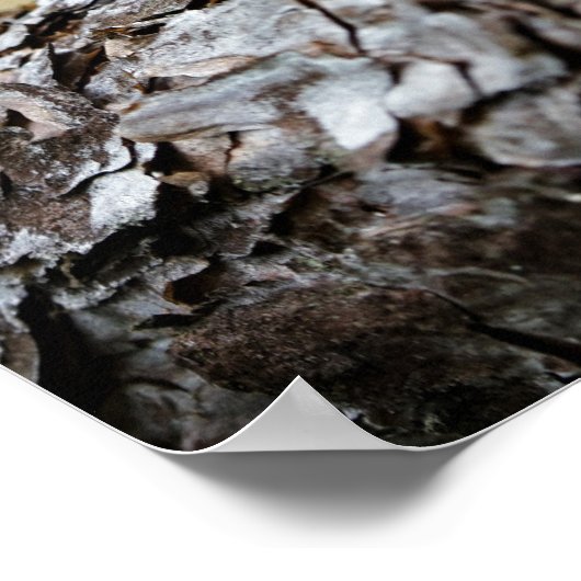 Acorn elf fietst zonder poster te houden (Hoek)