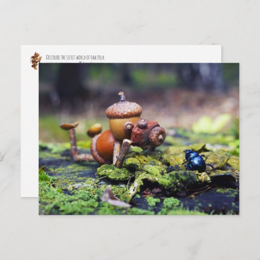 Acorn elf fotograaf met bug briefkaart (Voorkant / Achterkant)