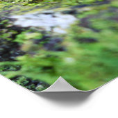 Acorn elf fotograaf met poster van insecten (Hoek)