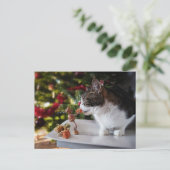 Acorn Elf geeft kerstcadeau aan kat Briefkaart (Staand voorkant)