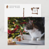 Acorn Elf geeft kerstcadeau aan kat Briefkaart (Voorkant / Achterkant)