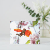 Acorn elf girl als tulp flairy spring briefkaart (Staand voorkant)