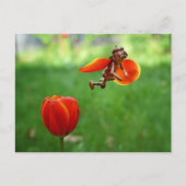 Acorn elf girl als tulp flairy spring briefkaart (Voorkant)