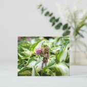 Acorn elf girl met briefkaart bloemen (Staand voorkant)