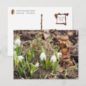 Acorn elf girl met een sneeuwbloemveer briefkaart (Voorkant / Achterkant)